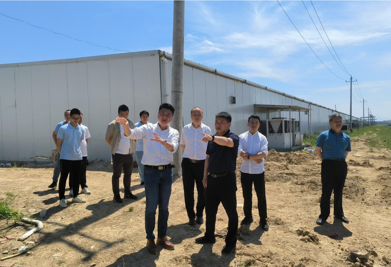 市國(guó)控集團(tuán)黨委書(shū)記、董事長(zhǎng)張志堅(jiān)帶隊(duì)深入調(diào)研鄉(xiāng)村振興項(xiàng)目